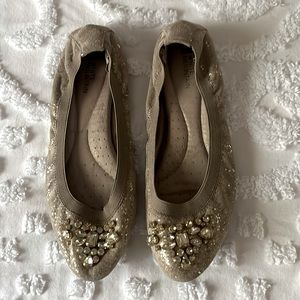 White Mountain flats